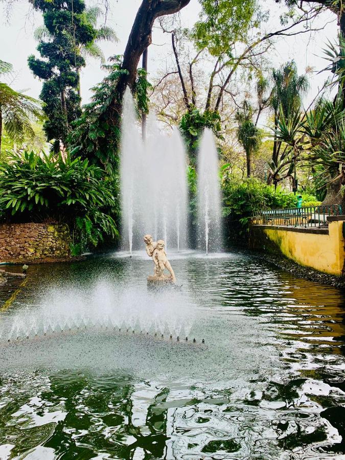 Santa Catarina By Ola Madeira Apartment ฟุงชาล ภายนอก รูปภาพ