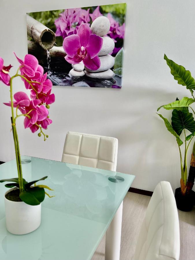 Santa Catarina By Ola Madeira Apartment ฟุงชาล ภายนอก รูปภาพ